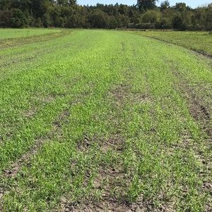 Meet your Posher, Ladson